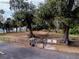 Fenced dog park with benches and trees at 2845 Oak Lea Dr, South Daytona, FL 32119