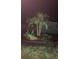 Landscaped yard with palm trees and nighttime lighting at 3662 Mohawk Dr, Mount Dora, FL 32757