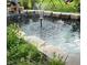 Small backyard pond with a water fountain and lush plants at 3662 Mohawk Dr, Mount Dora, FL 32757