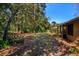 Spacious backyard with mature trees, lush greenery and plenty of room to enjoy the outdoors at 596 Albany Pl, Longwood, FL 32779