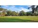 Expansive green lawn area bordered by mature trees and a serene neighborhood backdrop at 596 Albany Pl, Longwood, FL 32779