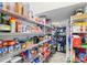 Well-organized pantry with ample shelving for storage at 2041 Brillante Dr, St Cloud, FL 34771