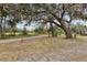 Mature oak trees and grassy roadside area at 513 Seminole Ave, Fruitland Park, FL 34731