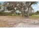 Large oak trees and grassy roadside view at 513 Seminole Ave, Fruitland Park, FL 34731