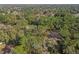 Wide aerial view showcasing home's location in a wooded neighborhood at 126 Se 41St Ave, Ocala, FL 34471