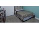 Small bedroom with a single bed, dresser, and teal colored wall at 2229 Shadowland Loop, Winter Park, FL 32792