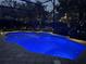 Blue-lit pool at night with a screened enclosure and landscape lighting at 3791 Brantley Place Cir, Apopka, FL 32703