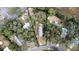 Aerial view of the property featuring mature trees, a long driveway, and an enclosed boundary at 13811 County Road 109D, Lady Lake, FL 32159