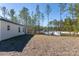 View of backyard showcasing grass and surrounding pine trees at 8549 Sw 129Th Ln, Ocala, FL 34473
