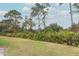 Grass yard with mature trees and landscaping at 11537 Blackmoor Dr, Orlando, FL 32837