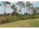 Spacious backyard with lush greenery and tall trees at 11537 Blackmoor Dr, Orlando, FL 32837