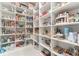 Large walk-in pantry with ample shelving at 11769 Hampstead St, Windermere, FL 34786