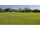 Expansive soccer field with goals, ready for game day! at 3721 Cleary Way, Orlando, FL 32828