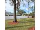 Landscaped backyard with privacy fence and mulch beds at 4940 Spring Run Ave, Orlando, FL 32819