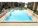 Inviting community swimming pool with lounge chairs at 570 Orange Dr # 51, Altamonte Springs, FL 32701