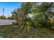 Overgrown backyard with a chain link fence and mature trees at 1098 Soria Ave, Orlando, FL 32807