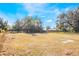 Large backyard with mature trees and open space at 355 E Hoffman St, Lake Alfred, FL 33850