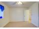 Spacious bedroom with neutral walls, carpet flooring, and a ceiling fan at 10738 Se 50Th Ave, Belleview, FL 34420