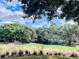 Expansive green lawn with lush landscaping and mature trees at 5001 Latrobe Dr, Windermere, FL 34786