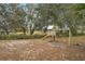 Playset in backyard, surrounded by mature trees at 5032 River Lake Rd, Winter Haven, FL 33884