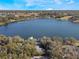 Wide aerial view of the lake and property at 1115 Lake Nettie Dr Dr, Eustis, FL 32726