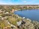 Aerial view of lakefront property with private dock and lush greenery at 1115 Lake Nettie Dr Dr, Eustis, FL 32726