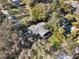 Wide aerial view of the lake and surrounding area at 1115 Lake Nettie Dr Dr, Eustis, FL 32726