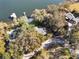 Aerial view of lakefront home surrounded by lush trees and featuring a private pool and dock at 1115 Lake Nettie Dr Dr, Eustis, FL 32726