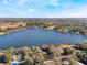 Panoramic aerial view of a tranquil lake bordered by homes nestled among a canopy of trees at 1115 Lake Nettie Dr Dr, Eustis, FL 32726