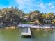 Scenic waterfront property with a private dock extending into the water, perfect for lake access at 1115 Lake Nettie Dr Dr, Eustis, FL 32726