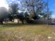 Spacious side yard with mature trees and wooden fence at 1606 Lime St, Kissimmee, FL 34746