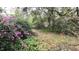 Wooded backyard with lush landscaping and a path at 5534 Vance Ave, Orlando, FL 32810