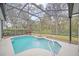 Screened-in pool with lush landscaping at 926 Palm Oak Dr, Apopka, FL 32712