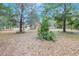 Wooded backyard with mature trees and a glimpse of the home at 15941 Sw 8Th Pl, Ocala, FL 34481