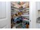 Well-organized pantry with ample shelving for storage at 16626 Point Rock Dr, Winter Garden, FL 34787