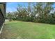 Spacious backyard with grassy area and a playground at 3627 Crimson Clover Dr, Mount Dora, FL 32757