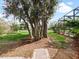 Expansive backyard featuring mature trees and a view of the screened-in pool area at 647 Saranac Dr, Winter Springs, FL 32708