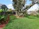 Expansive backyard featuring a lush green lawn and mature trees, perfect for outdoor activities at 647 Saranac Dr, Winter Springs, FL 32708