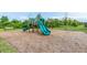 playground with two slides and monkey bars at 3439 Feathergrass Ct, Harmony, FL 34773