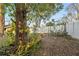 A peaceful backyard featuring a mature shade tree, a leafy groundcover, and white fencing at 5607 Huber Dr, Orlando, FL 32818