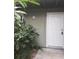 Exterior view of a house with green walls and a white door at 257 Scottsdale Sq # 257, Winter Park, FL 32792