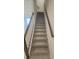 Carpeted staircase with white risers and dark wood handrails leading to the upper level of the home at 9088 Ocean Tide Way, Kissimmee, FL 34747