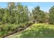 A beautiful creek and lush, mature trees create a serene backyard setting at 12788 Gillard Rd, Winter Garden, FL 34787