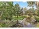 Scenic creek flows through the lush greenery, creating a tranquil backyard view at 12788 Gillard Rd, Winter Garden, FL 34787