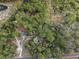 Expansive aerial view of the property surrounded by beautiful mature trees, offering complete privacy at 221 Se 125Th Terrace Rd, Silver Springs, FL 34488