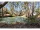 View of a pond that enhances the property, surrounded by lush greenery and tall trees at 221 Se 125Th Terrace Rd, Silver Springs, FL 34488