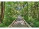 Inviting boardwalk surrounded by a verdant forest, provides a serene escape into nature at 136 Woodmill Rd, Longwood, FL 32779