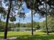 Scenic lake view, framed by palm trees and foliage, offers a relaxing and picturesque natural setting at 136 Woodmill Rd, Longwood, FL 32779