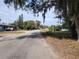 Residential street view showcasing quiet neighborhood at 32650 Azealia Pl, Tavares, FL 32778