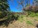View of an overgrown backyard with debris, branches, and dense foliage, showing substantial cleanup needed at 3421 Fudge Rd, Apopka, FL 32712